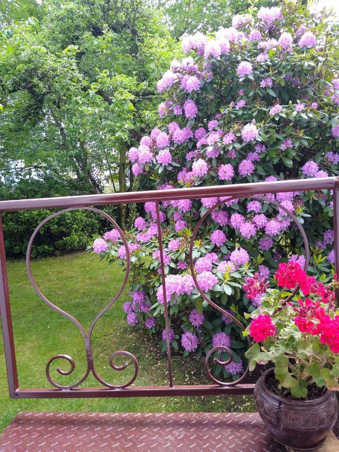 Alster City Garden Villa Hamburg Kültér fotó